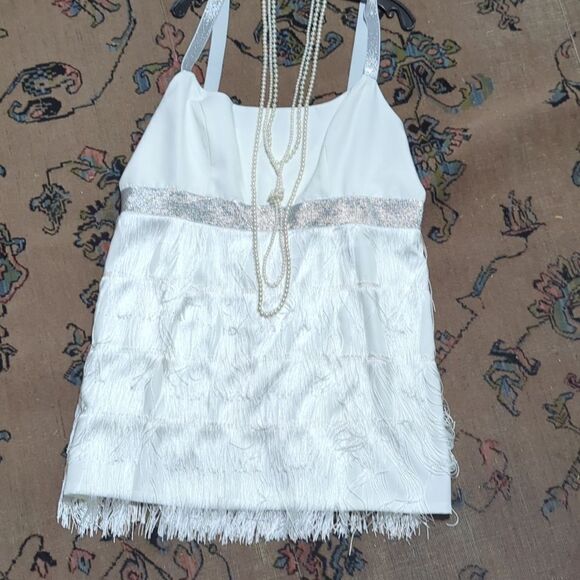 Plus sized Women's Sequin Fringe Dress Party Sexy Dress, Flapper, 1920s - Picture 2 of 5